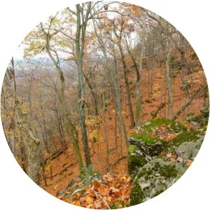 Myron and Sonya Glassberg Family Conservation Area