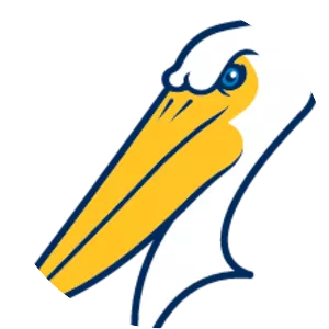 Myrtle Beach Pelicans