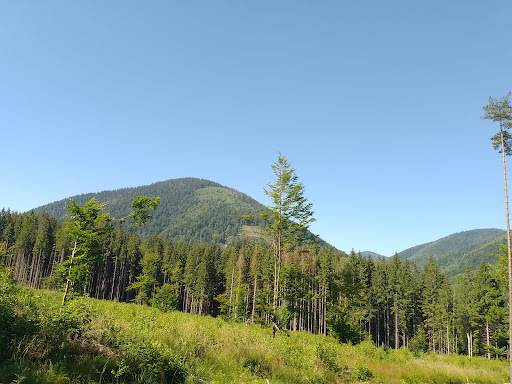 Myslivka Lisnytstvo - Lodging in Ukraine