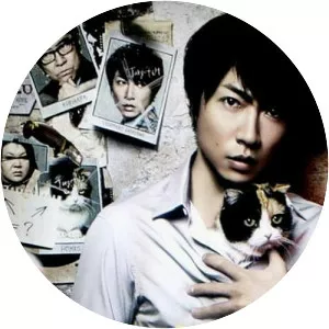 Mysteries Of Detective Cat Holmes - TV series