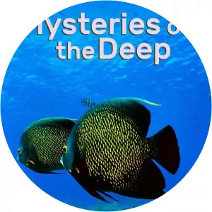 Mysteries of the Deep