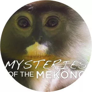 Mysteries of the MekongSince 2017