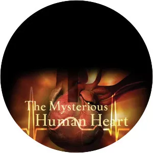 Mysterious Human Heart