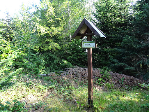 Myszyca - Scenic spot in Lubomierz, Limanowa County, Poland