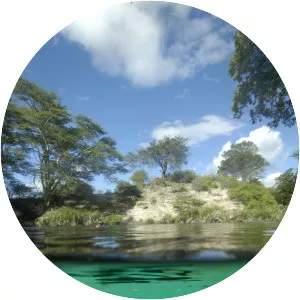Mzima Springs - Reservoir in Kenya