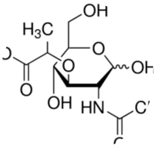 N-Acetylmuramic acid - Chemical compound