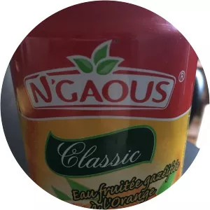 N'gaous - Musical artist
