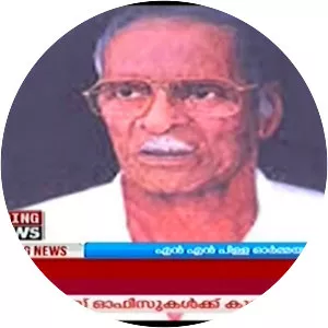 N. N. Pillai
