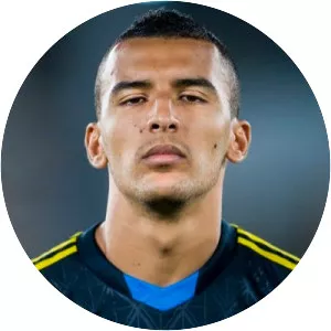 Nabil Bahoui - Swedish football player