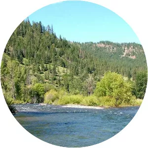 Naches River - Tributary in Washington
