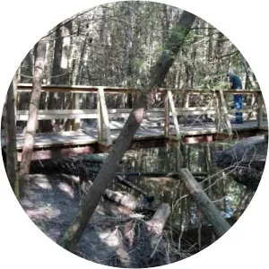 Naftel's Creek Conservation Area