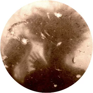 Nagamatzu - Musical group