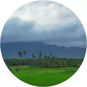 Nagercoil