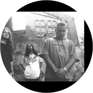 Nagły Atak Spawacza - Musical group