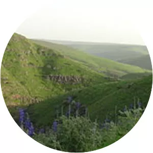 Nahal Tavor - Stream in Israel