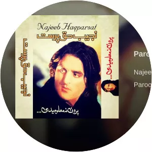 Najeeb Haqparast