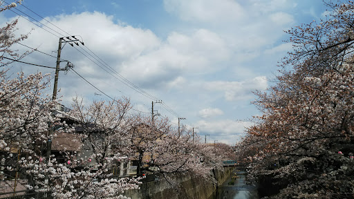 Nakaitabashi Shopping Street Hall - Community center in Itabashi, Japan