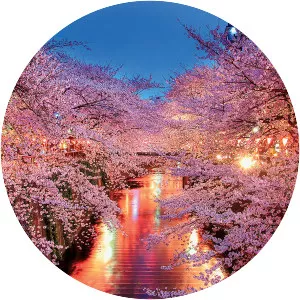 Nakameguro photograph