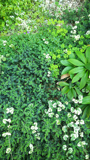 Nakano 5 Chome - Bus stop in Nakano, Japan