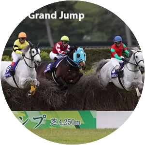 Nakayama Grand Jump