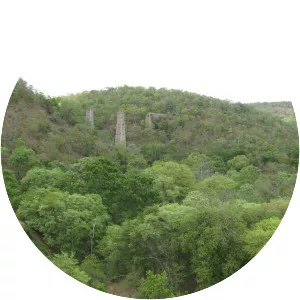 Nallamala Hills