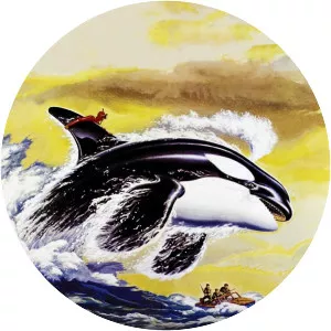 Namu, the Killer Whale