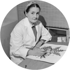 Nancy Adams - New Zealand illustrator