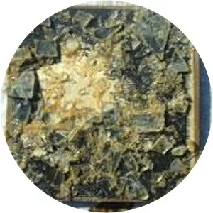 Nancy Garcia - Musical artist