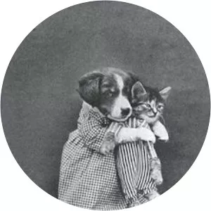 Nancy J Farrier - Author