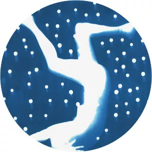 Nancy Wilson-Pajic - Visual artist