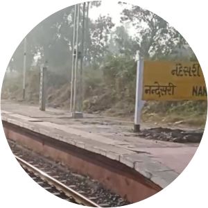 Nandesari railway station