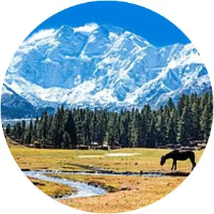 Nanga Parbat - 
