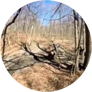 Nankin Mills Nature Center