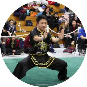 Nanquan - Martial art