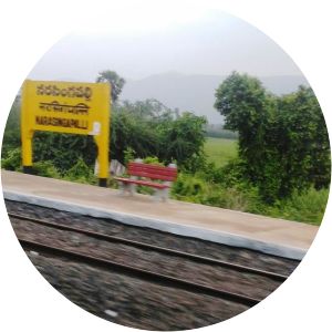 Narasingapalli railway station