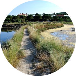 Naravni rezervat Strunjan - Stjuža - 