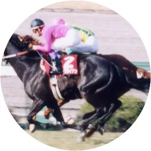 Narita Brian - Horse