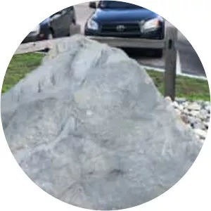 Narragansett Runestone - 