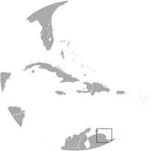 Narrow-headed slender opossum