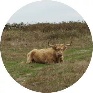 Nashawena Island - Island in Gosnold, Massachusetts