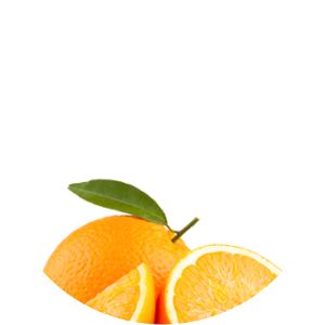 Natanja - Musical artist