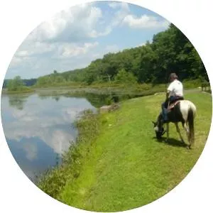 Natchaug State Forest - State park in Ashford, Connecticut