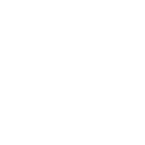 Nathan Cummings Foundation