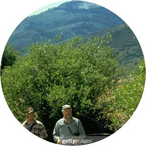 Nathan Olsen - Merlin Olsen's son