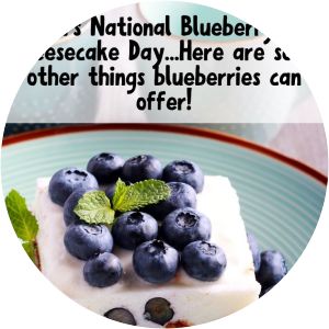 National Blueberry Cheesecake Day