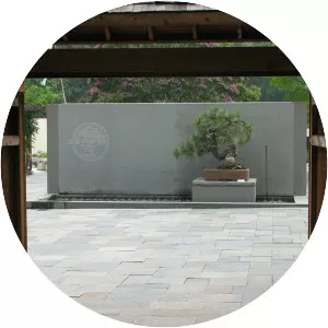 National Bonsai Foundation