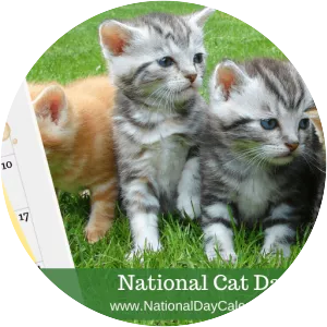 National Cat Day