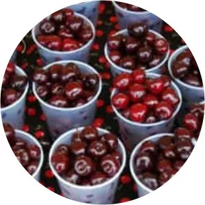 National Cherry Festival - 