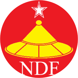 National Democratic Force