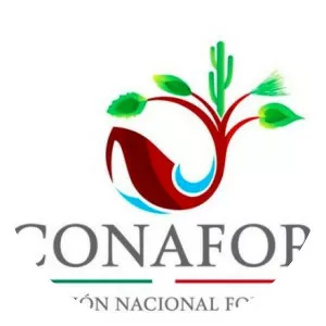 National Forestry Commission of Mexico